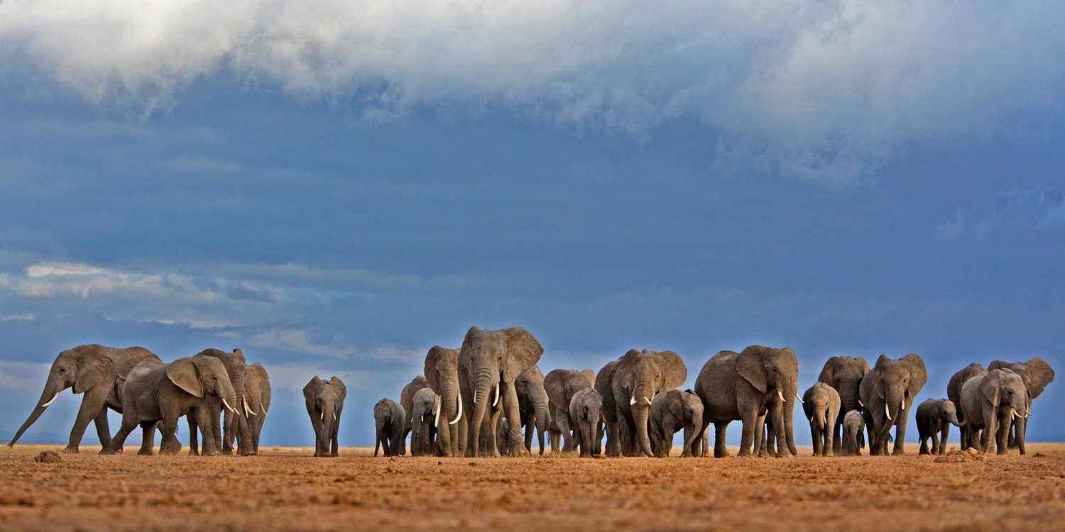 Amboseli Safari packages